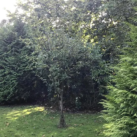 Reinhard Zentrum Eg Mit Terrasse Und Garten 2 Schlafzimmer Daire *